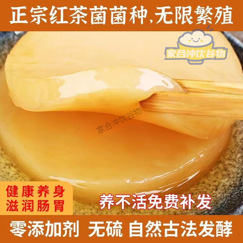 可局红茶菌菌种胃宝菌种醋蛾子海宝益生菌家用茶饮料制作便捷神器 6大片600克强烈全套装