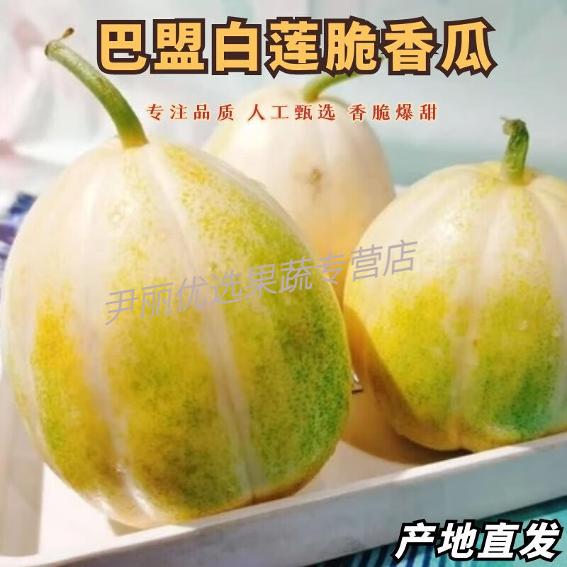 正宗巴盟香瓜内蒙当季特产新鲜水果白梨脆甜瓜河套白莲脆香瓜顺丰 5斤