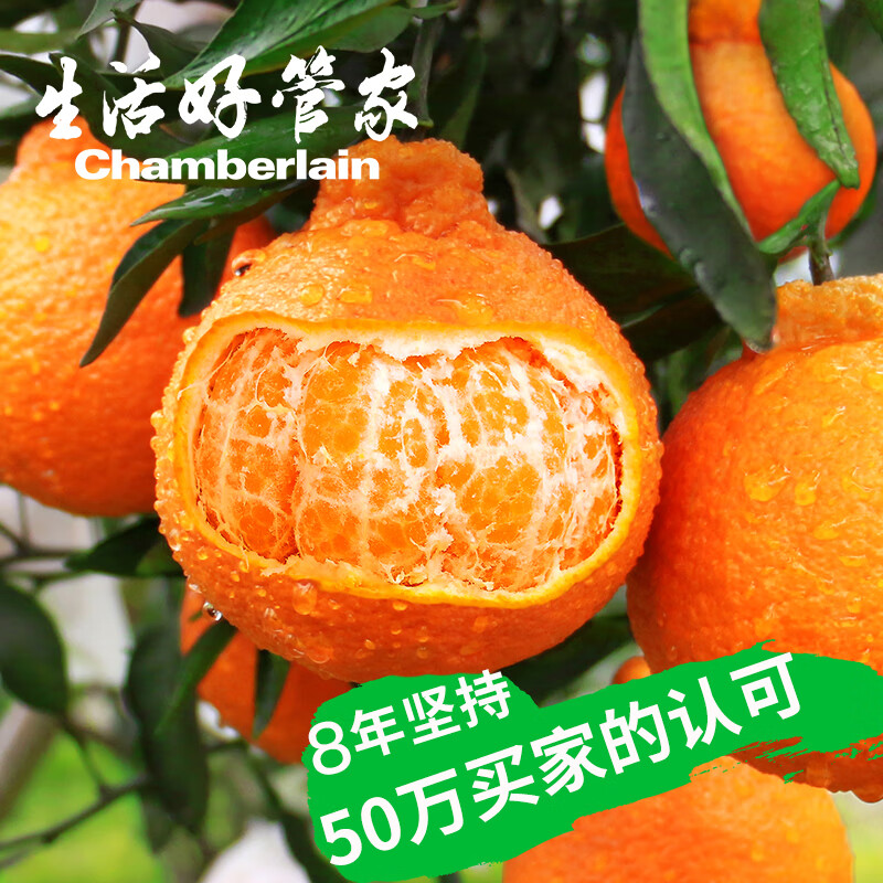 生活＆好管家四川不知火丑橘新鲜水果丑八怪丑柑应季橘子整箱柑橘应季水果 8.5-9斤【果径65-75mm】净重8斤