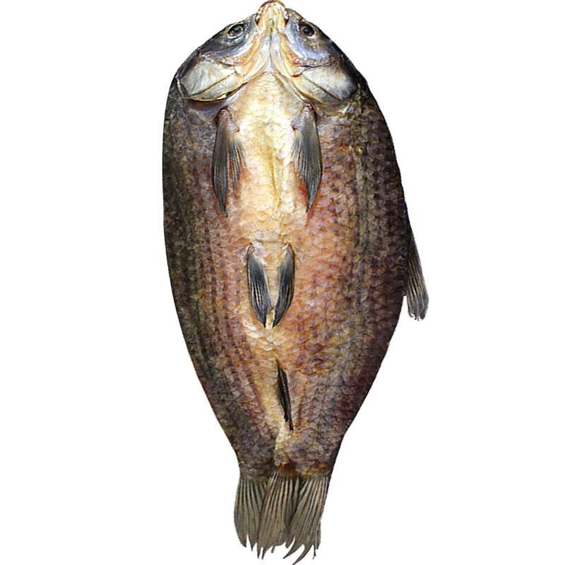 虎钢馋绍兴青鱼干特产咸干鱼干货螺蛳青自制年货整条腊鱼干青鱼