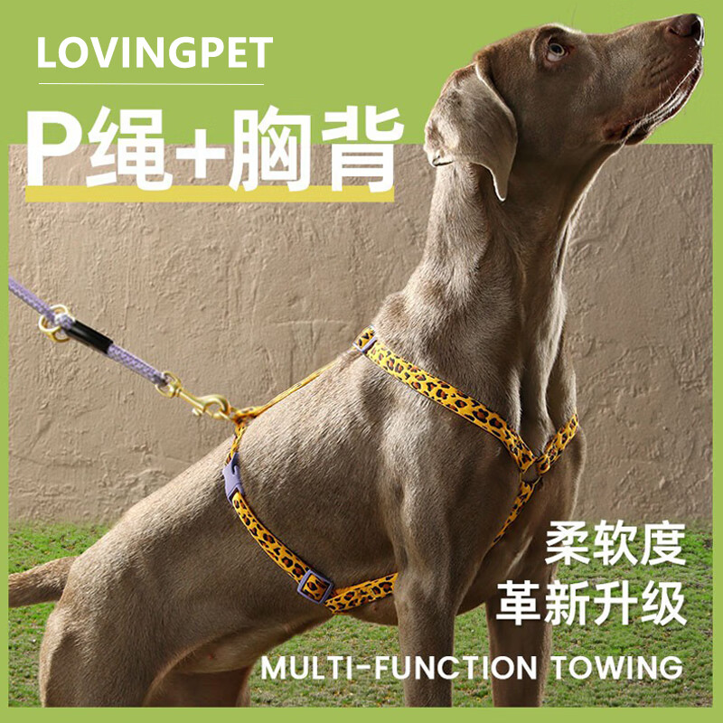 拉维佩特（LOVINGPET）狗狗牵引绳胸背带狗狗防爆冲遛狗绳小中大型犬p绳金毛边牧牵引绳 豹纹胸背+多功能反光P绳 XL（45-90斤 可用）