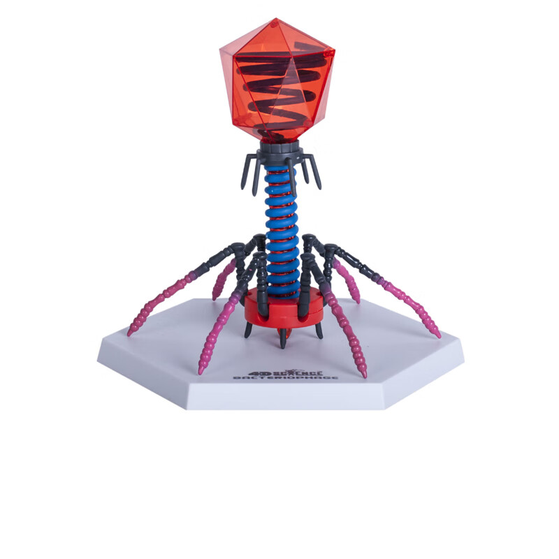 噬菌体病毒模型医学解剖stem生物拼装教学玩具 噬菌体624003