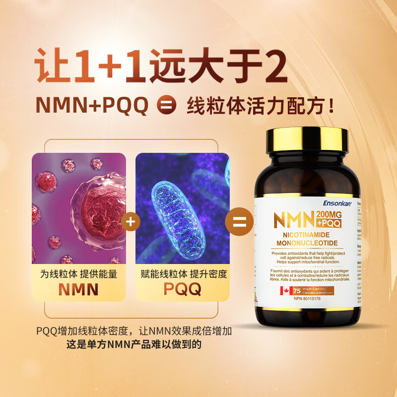 Ensonkan安迅康NMN15000+PQQ胶囊加拿大原装进口β-烟酰胺单核苷酸nad补充 1瓶装【初步调理 日常养护】
