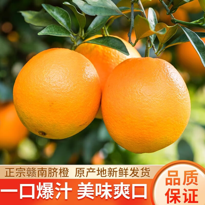 粤迎江西赣南脐橙新鲜现摘水果孕妇橙子手剥甜橙赣州产地直发 10斤精选果【香甜爆汁】净9斤