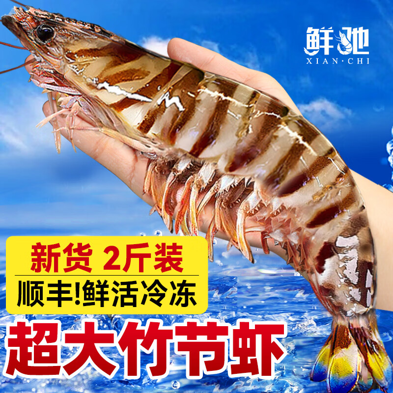 ���ڲ������ʳ� ���Ϻ�ʻ�߽�Ϻ�Ž�Ϻ��ΧϺ��Ϻ��Ϻ��ϺϺ�����Ϻ��߽�Ϻ ���Ϻ 2��(����)  11-13cm��2��װ��