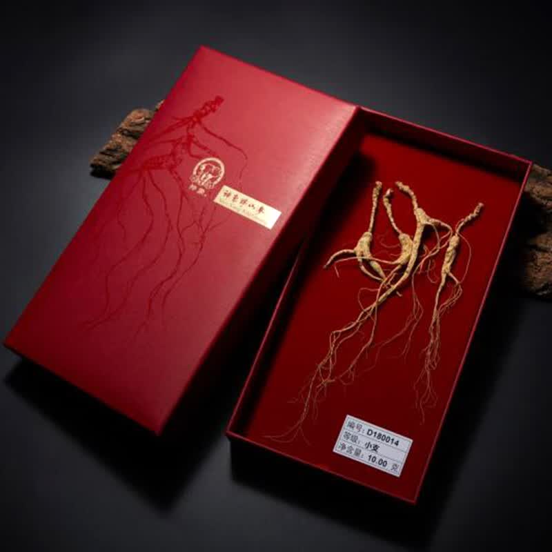 神象野山参礼盒小支10克富含人参皂甙15 年东北长白山1参1证1形态 野