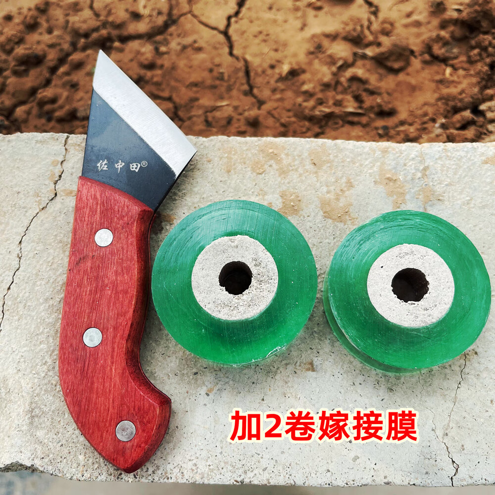 鋒鋼嫁接刀接芽刀專(zhuān)業(yè)園林園藝削果樹(shù)嫁接工具 佐中田201型鋒鋼2卷嫁接膜