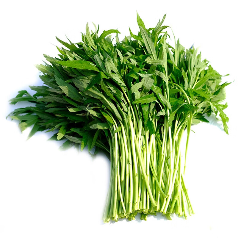 芦蒿嫩藜蒿篱蒿泥蒿农家蔬菜鲜嫩蒌蒿去老根 2斤 带叶去老根