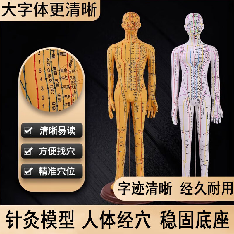 人体经络穴位模型中医用针灸铜色人女模男模可扎针  铜色高清男模型50cm