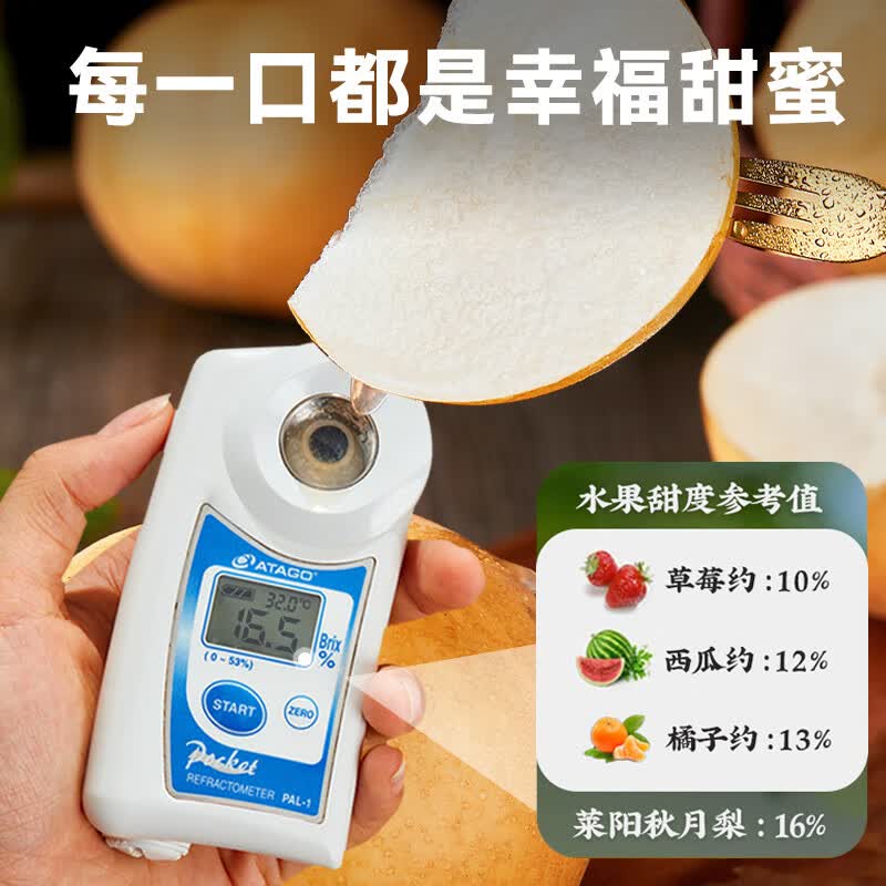 京橙美锦山东莱阳秋月梨新鲜水果梨子当季水果皮薄超甜雪梨特产礼物整箱 净重5斤果王【约5-7枚】