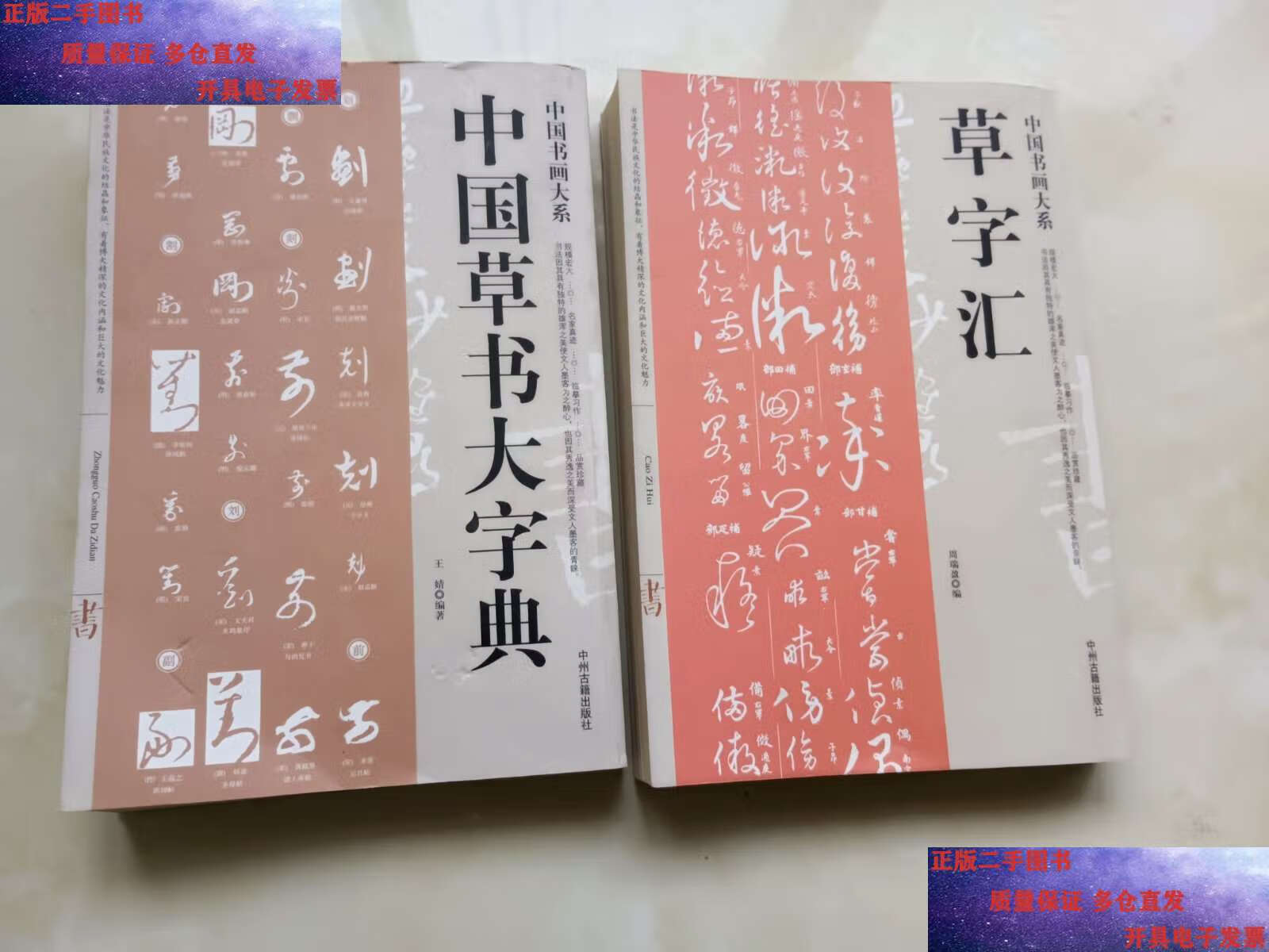 【二手9成新】中国书画大系:中国草书大字典 2本合售 /王婧 中州古籍