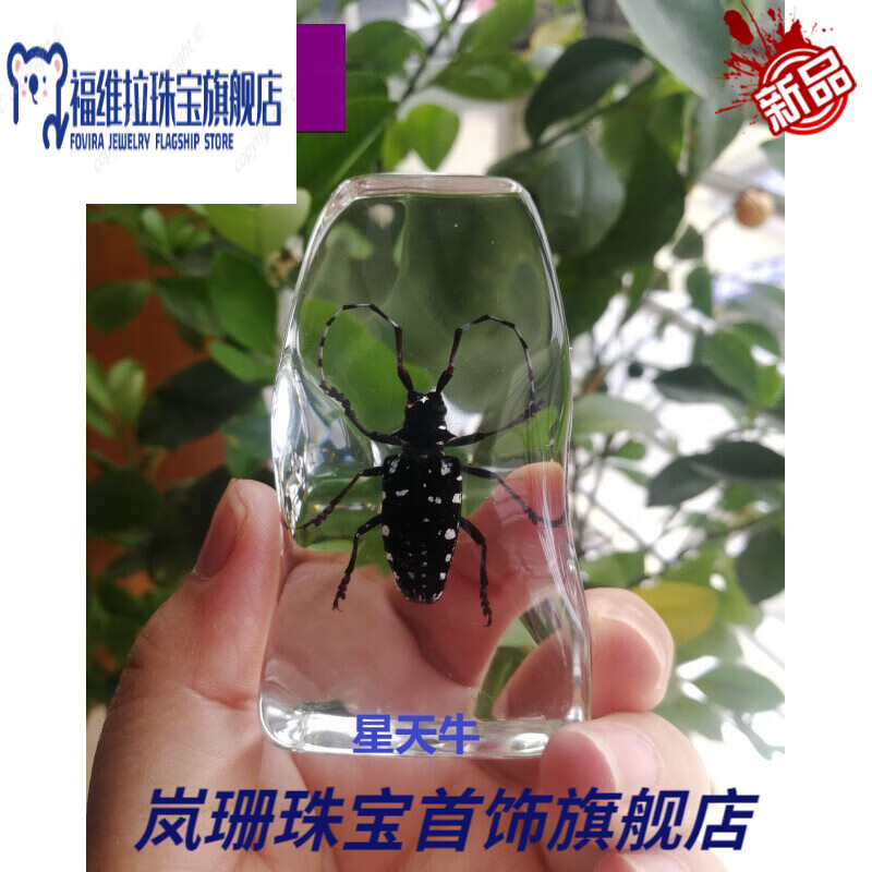 福维拉(fuweila)送老婆女友朋友的礼物琥珀昆虫标本 人工琥珀小摆件