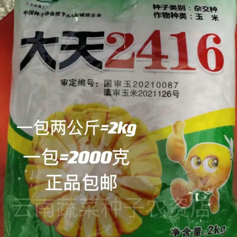云南大天公司2416玉米种包装袋2公斤-4斤装玉米种苞米大田种 大天2416