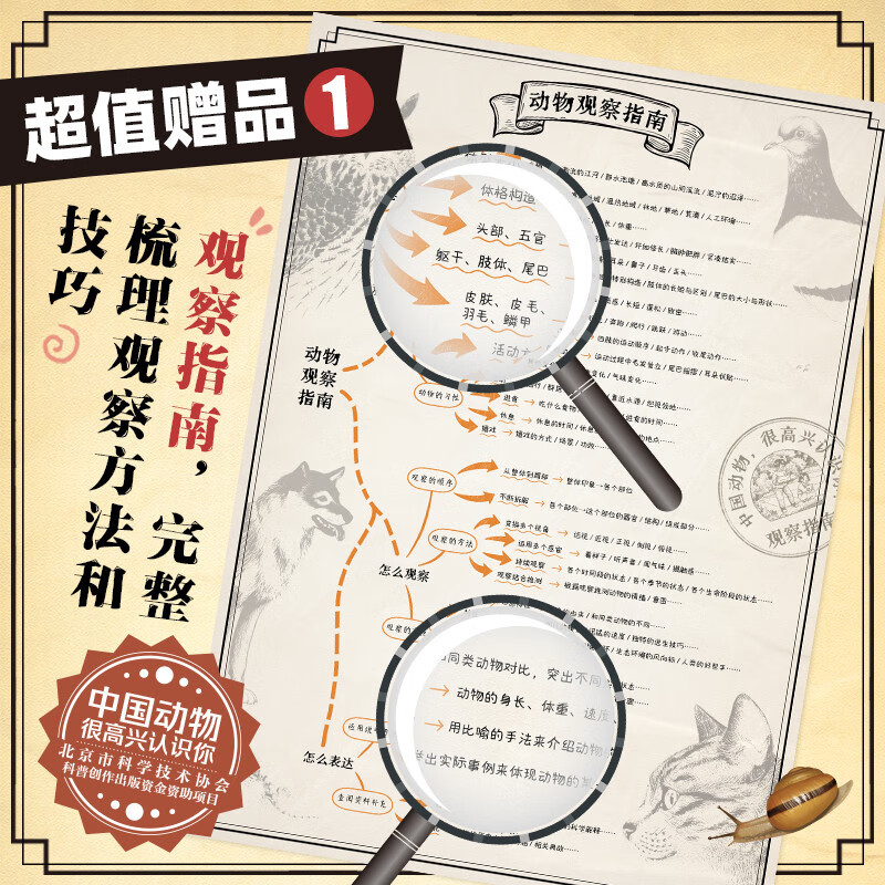 中国动物 很高兴认识你（全4册）（以“中国动物”为主题，专为中国儿童打造的自然百科通识绘本）详情图