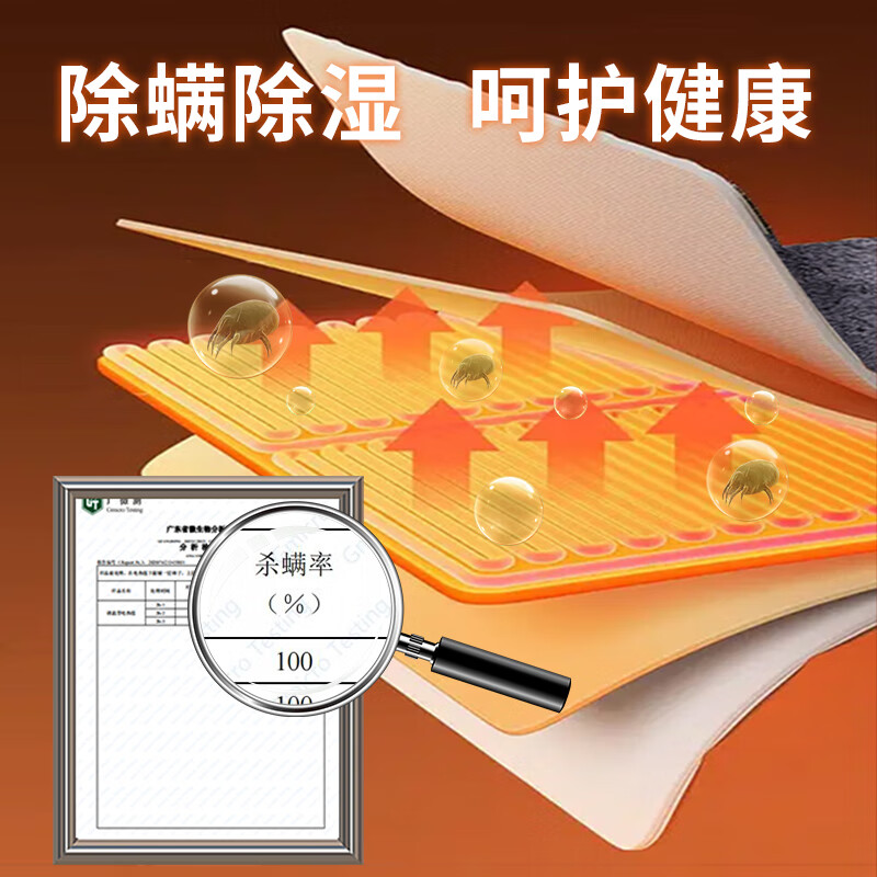长城电热毯双人双控调温电褥子加热毯除螨定时自动断电暖床电暖毯子 双人双控长2.0米*宽1.8米