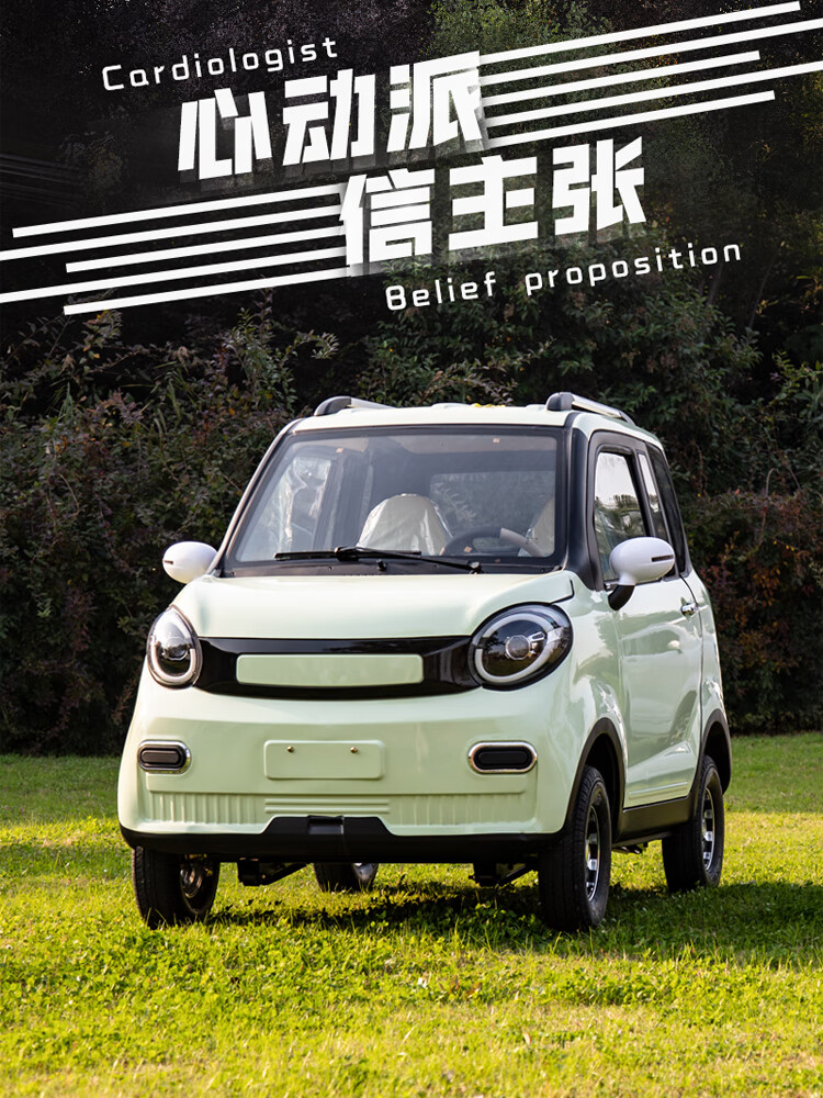 金蒄澎四輪電動車新能源女士家用小型油電兩用汽車成年人上班鋰電電瓶車 基礎(chǔ)款 x 60V