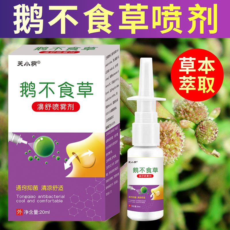 鼻窦炎鼻甲肥大鼻塞过敏性鼻息肉 芙小萌鹅不食草鼻炎喷雾剂 一瓶20ml