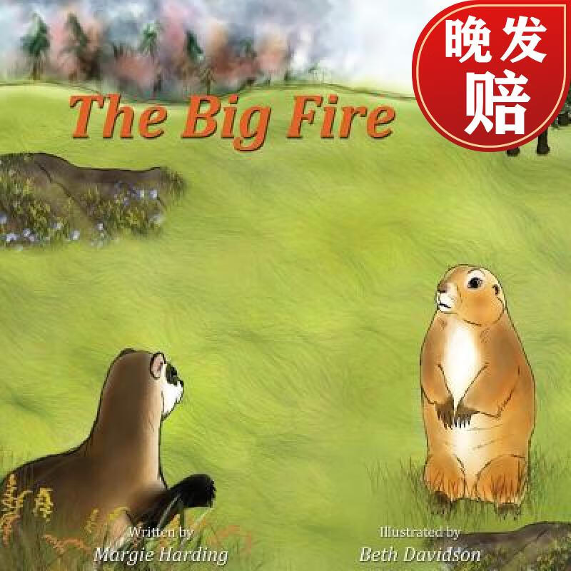 【4周达】the big fire