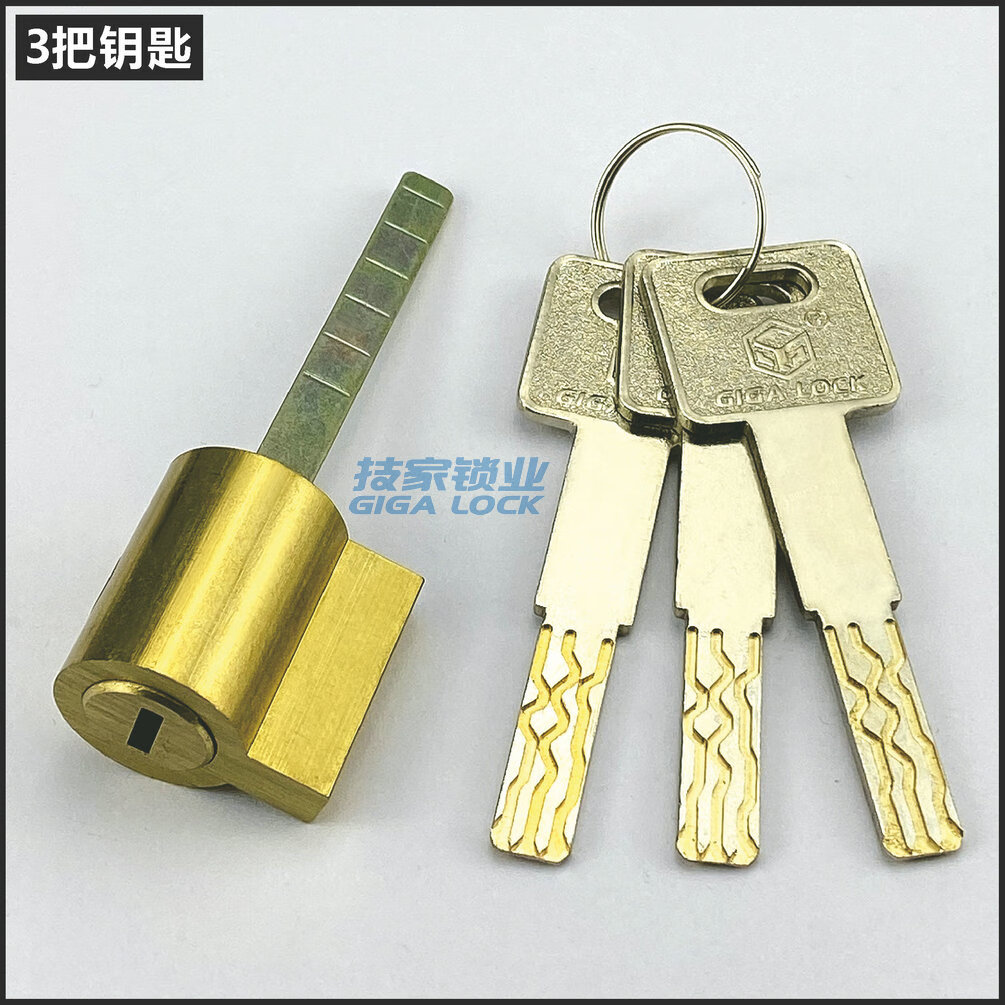 适用皇鼎碧桂园锁芯智能锁指纹锁roalwand密码电子门锁带尾巴锁头 c级