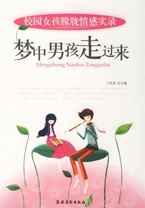 梦中男孩走过来【正版好书,下单速发】