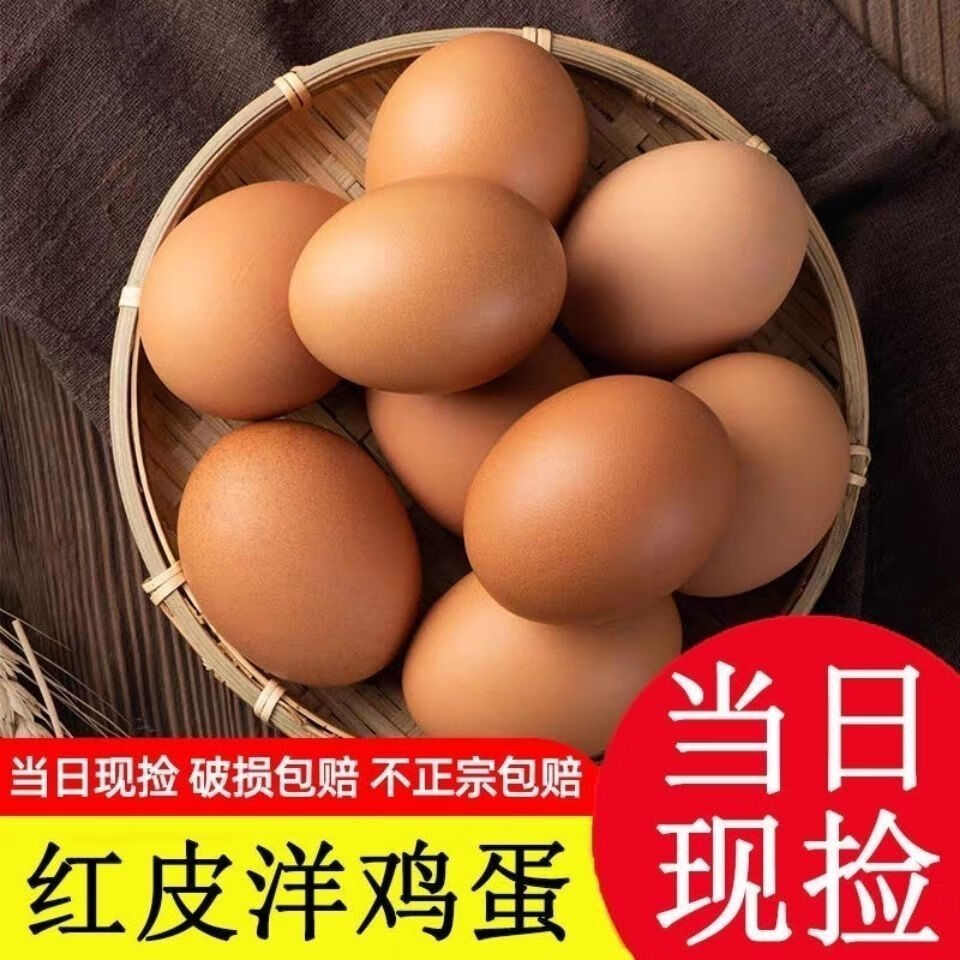 我老家鮮雞蛋農(nóng)家散養(yǎng)雞蛋新鮮土雞蛋紅皮雞蛋柴雞蛋 20枚紅殼鮮雞蛋【五谷雜糧喂養(yǎng)】