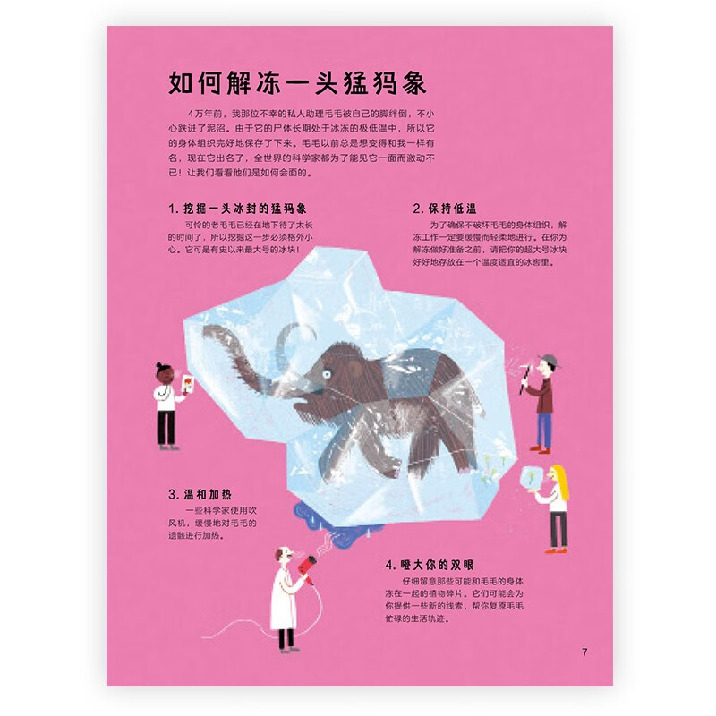 猛犸象梅西的回忆录详情图