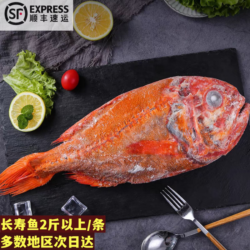 鲸零岛长寿鱼大富贵鱼鲜活冷冻新西兰海捕橙鲷鱼2斤以上 2斤/条