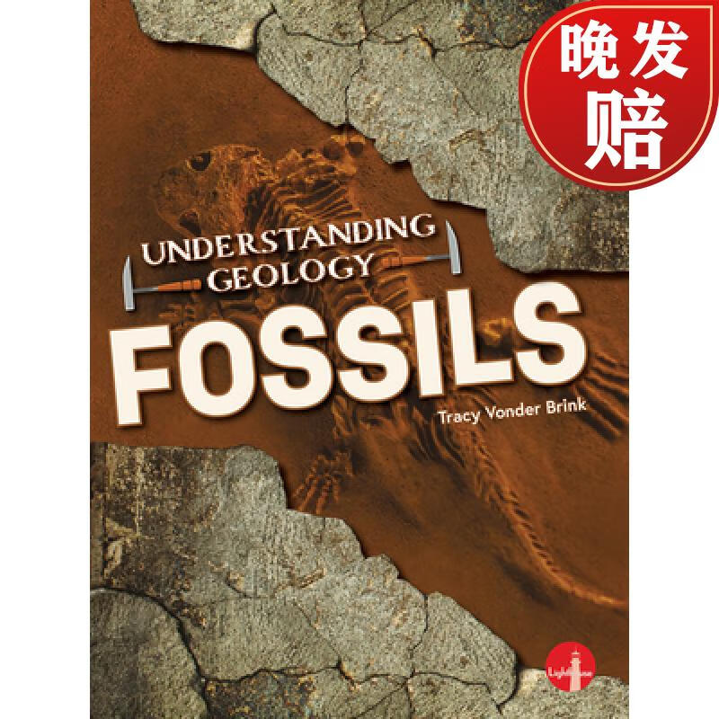 【4周达】fossils