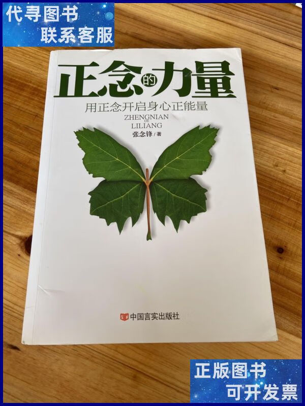 正念的力量:用正念开启身心正能量二手书