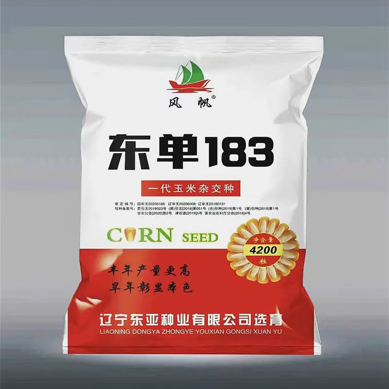 朵芮蜜东单183丰产玉米种子大全双棒矮杆抗旱涝抗病抗倒伏南北方国审