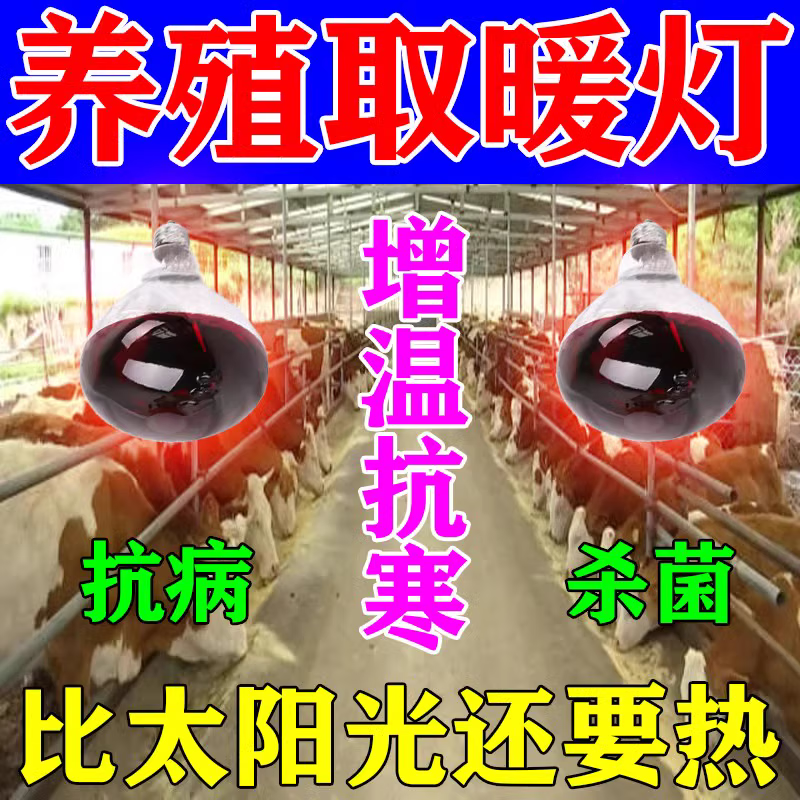 增温灯养殖场专用加热芦丁鸡牛羊猪育雏冬季保温取暖灯泡大棚升温
