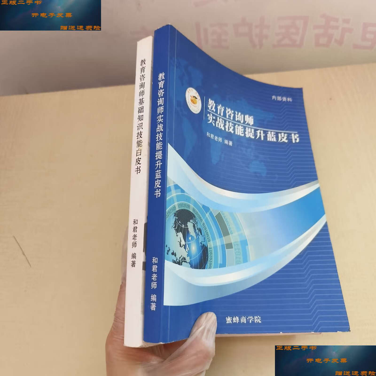 【二手9成新】教育咨询师:基础知识技能白皮书 实战技能提升蓝皮书 2