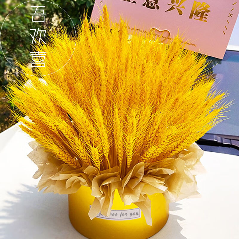 开业花篮大麦开业麦穗干花花束插花花篮道具装饰摆件 大麦金桶材料