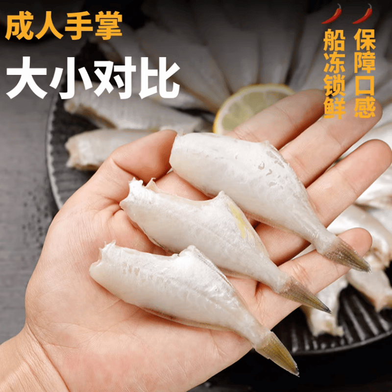 裕琳珑 耗儿鱼 新鲜冷冻三去小耗儿鱼马面鱼玻璃鱼无头鱼扒皮鱼海鲜水产 三去耗儿鱼 大分量10斤 中号 5-6条/斤