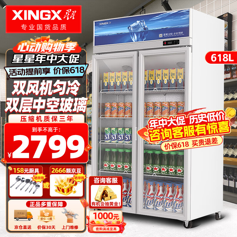 星星（XINGX）立式冷藏展示柜冰柜 双门保鲜柜冷柜商用冰箱 风直冷超市饮料陈列柜多容量 618升风直冷 LSC-618Y