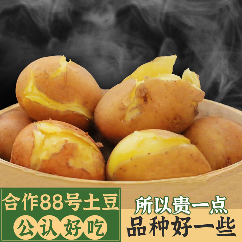 花芊茗 云南会泽高山红皮黄心合作88号大土豆新鲜农家老品种开花洋芋