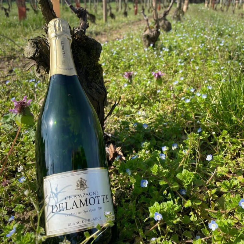 维达斯salon姐妹花 champagne delamotte德乐梦香槟白中白起泡葡萄酒
