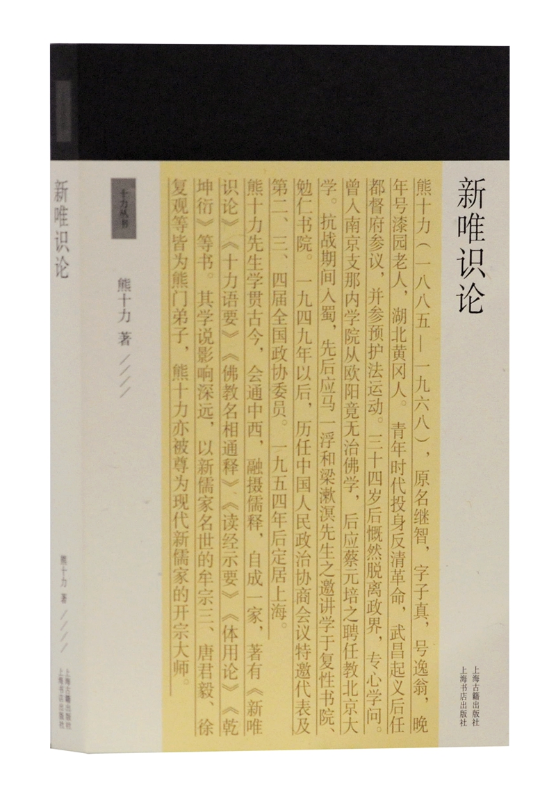 新唯识论/十力丛书