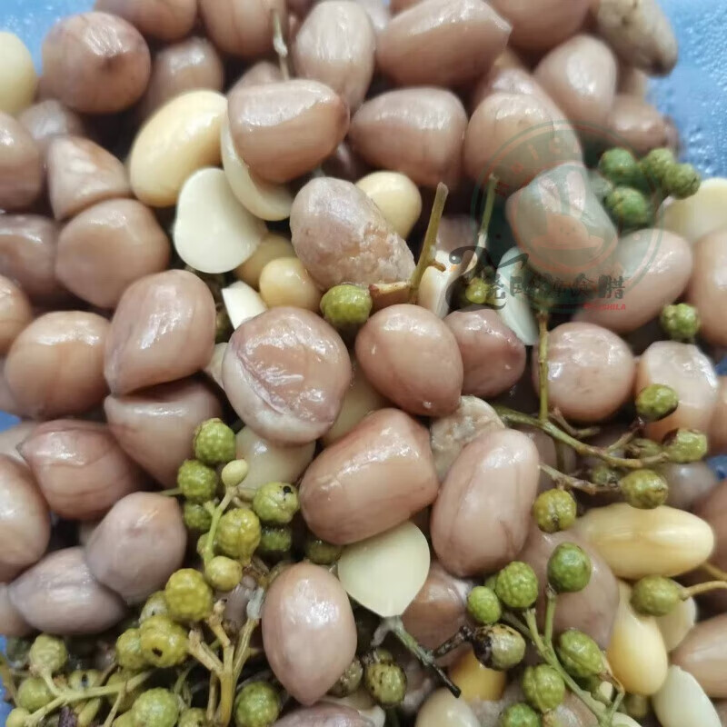 河北特產(chǎn)青花椒炒豆豉 傳統(tǒng)腌豆豉 黃豆炒咸菜特色小菜 咸菜 醬菜 傳統(tǒng)青花椒腌豆豉一盒