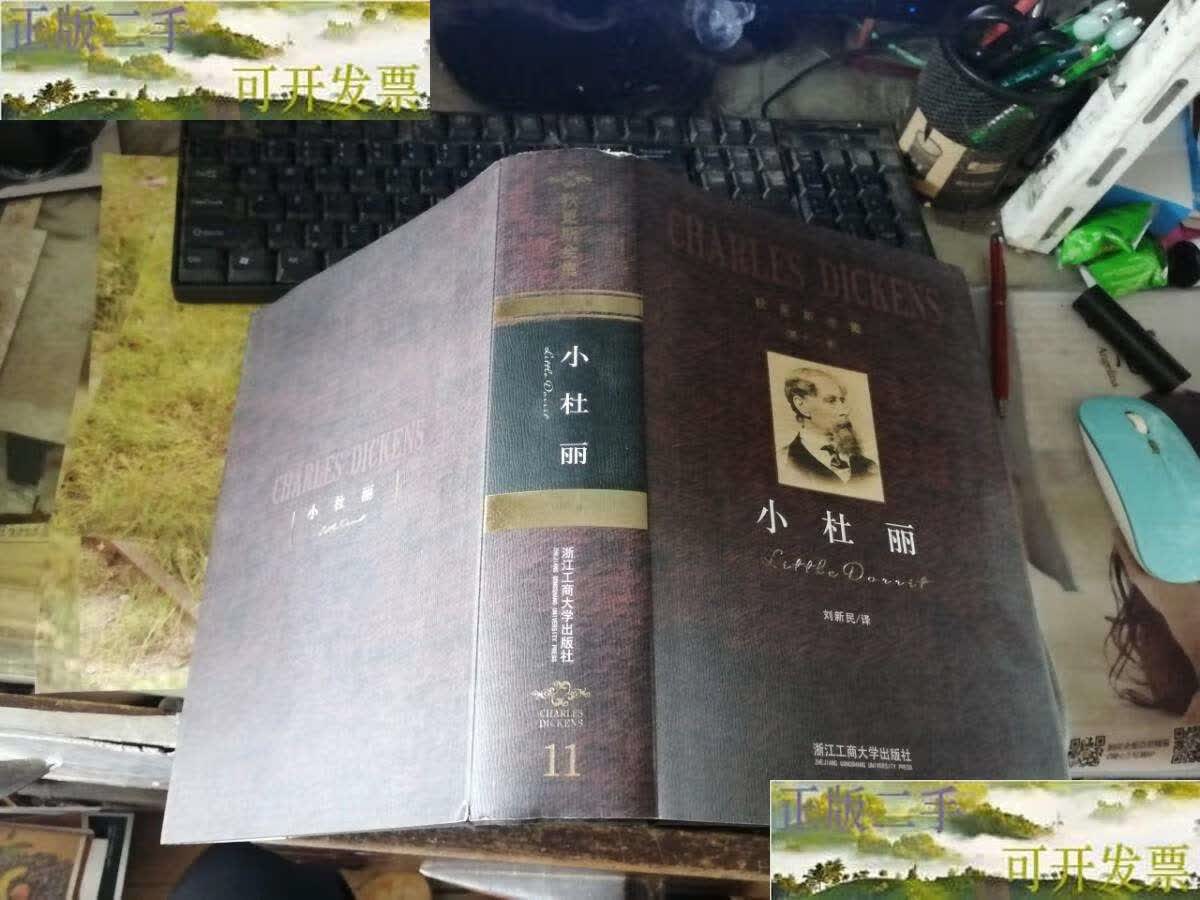 【二手9成新】小杜丽 (狄更斯全集第 十一卷) /刘新民 浙江工商业大学