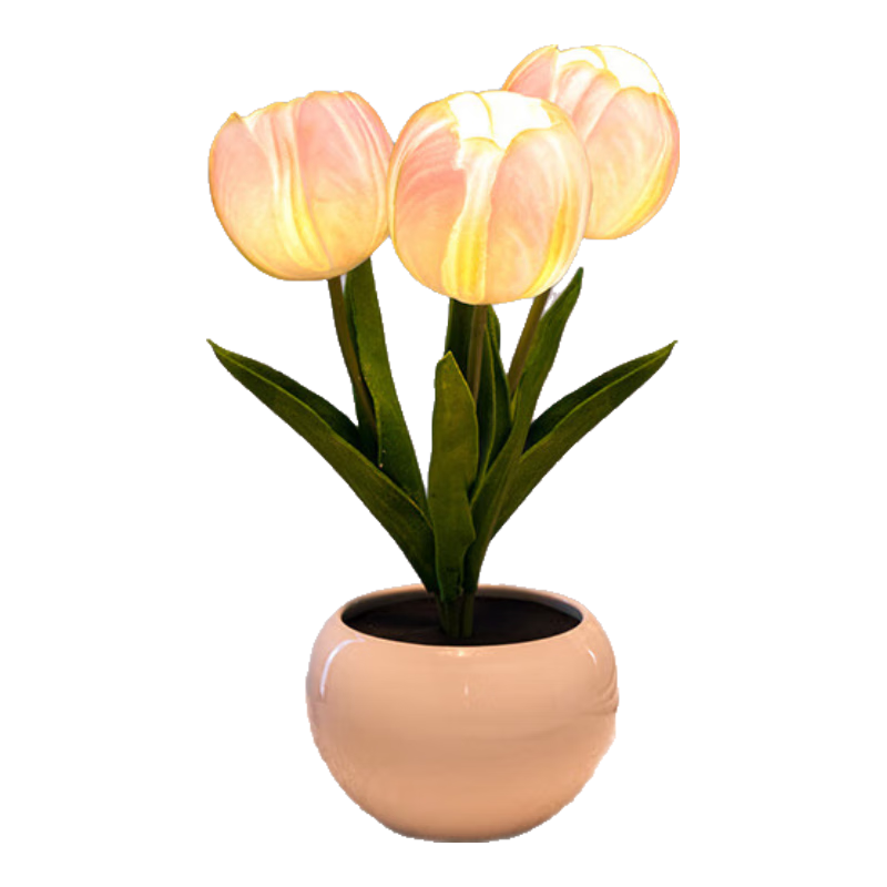 ϦСҹƸжŮʿŮСڸ߼