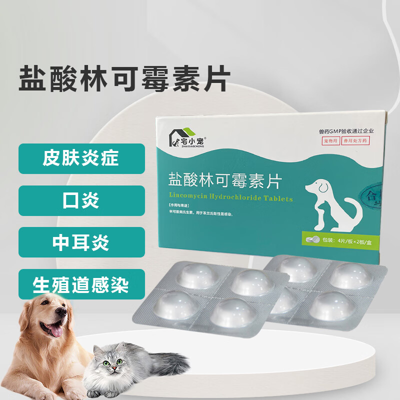 宅小宠盐酸林可霉素片猫口炎狗皮肤病厌氧菌感染宠物产后消炎葡萄球菌