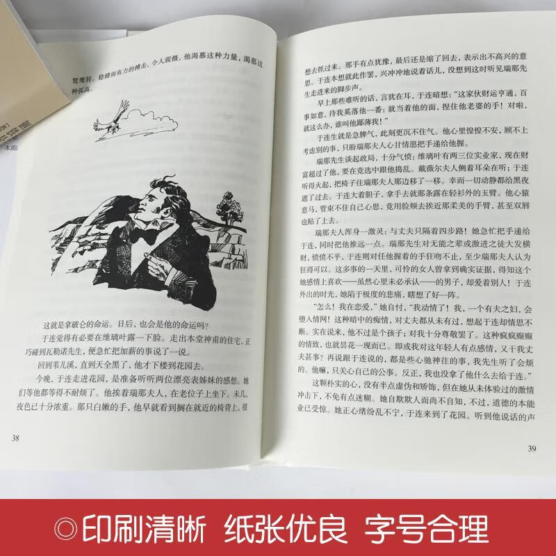 红与黑司汤达著原著完整版世界经典名著文学小说青少年学生外书籍 世界名著-红与黑 无规格