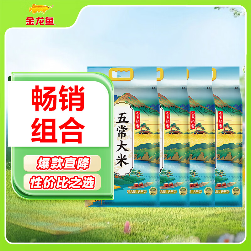 �������峣���� �峣��������� �������� ������10��*4