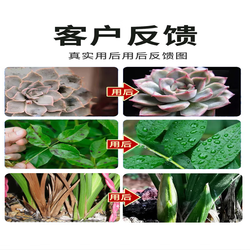 植物多菌灵杀菌剂花卉专用除菌花病康喷剂白粉病炭疽病叶斑病 3瓶装【买2 送1】