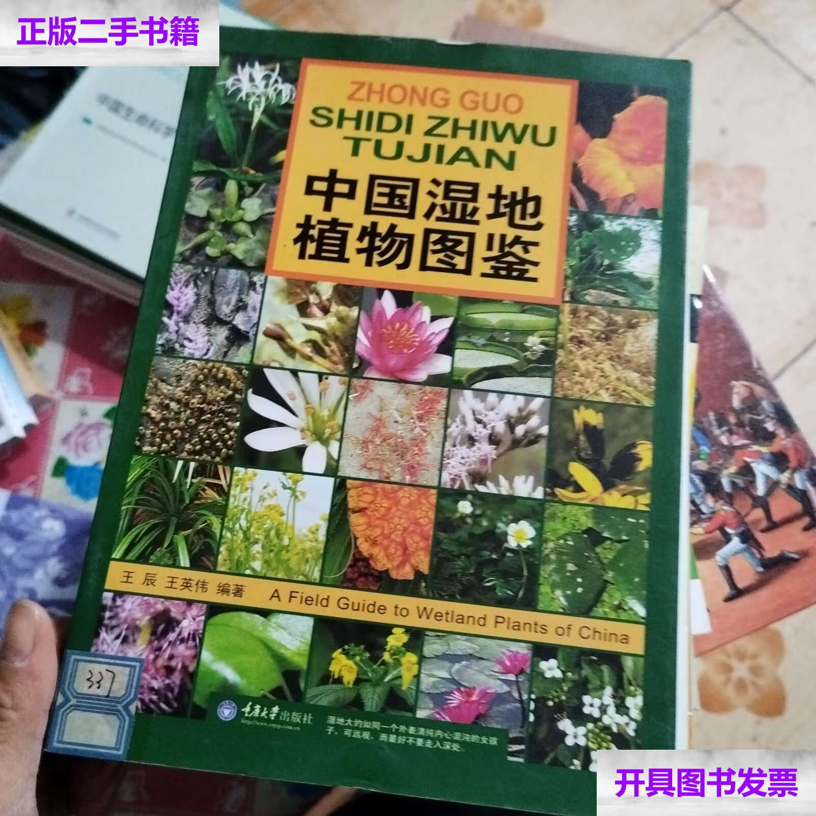 【二手9成新】中国湿地植物图鉴 /王辰 重庆大学