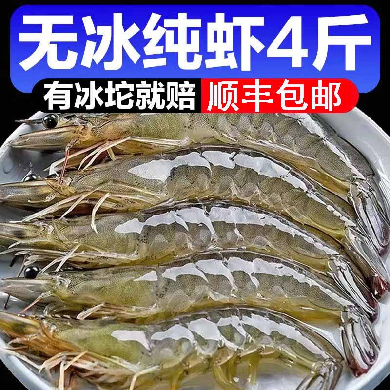 五福莲春大虾海鲜礼盒生鲜虾类盐冻冷冻虾大号白虾2kg青岛大对虾基围虾白 【16-18cm】30-40盐冻大虾回购高 净重3.5斤