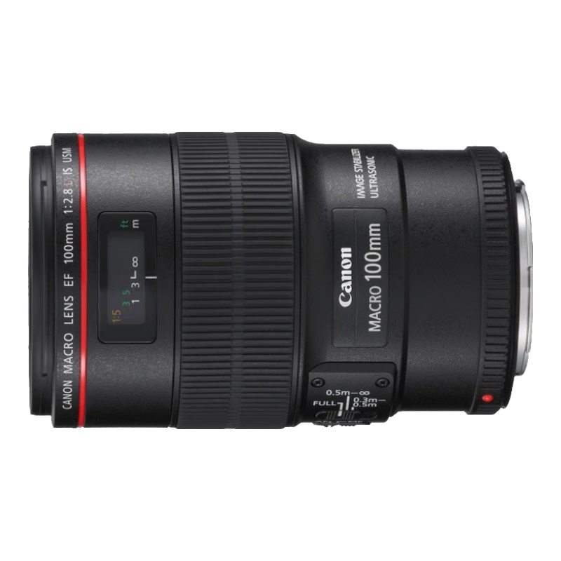 佳能（Canon） EF 100mm f/2.8L IS USM 新百微 微距镜头（含卡色金环G-MC UV保护镜）