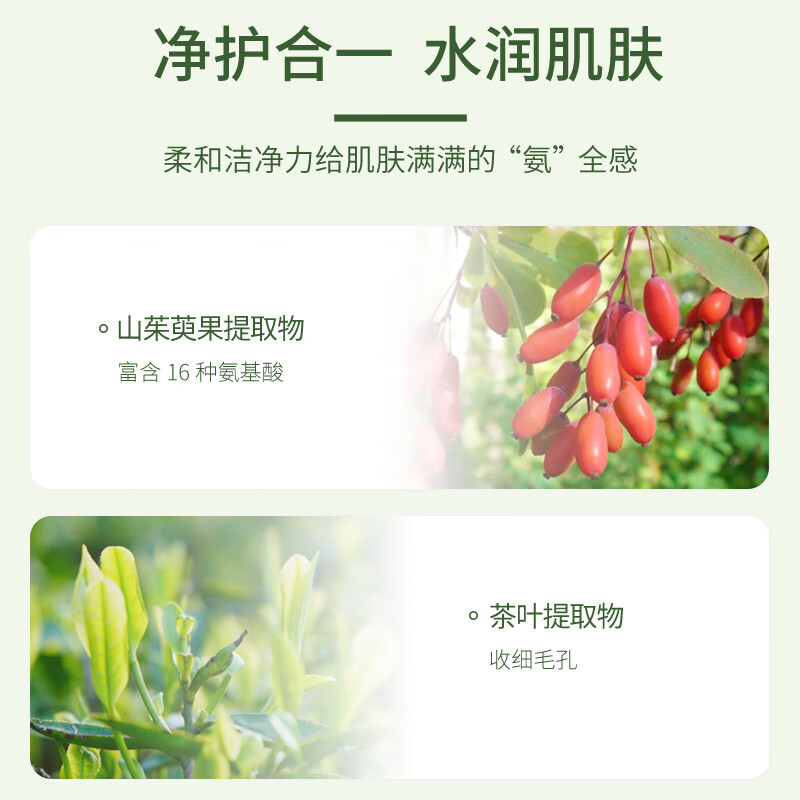 老中医茶氧清爽洁面泡沫 男女士氨基酸洗面奶呵护肌肤清爽净肤洁面慕斯 茶氧清爽洁面泡沫150ml