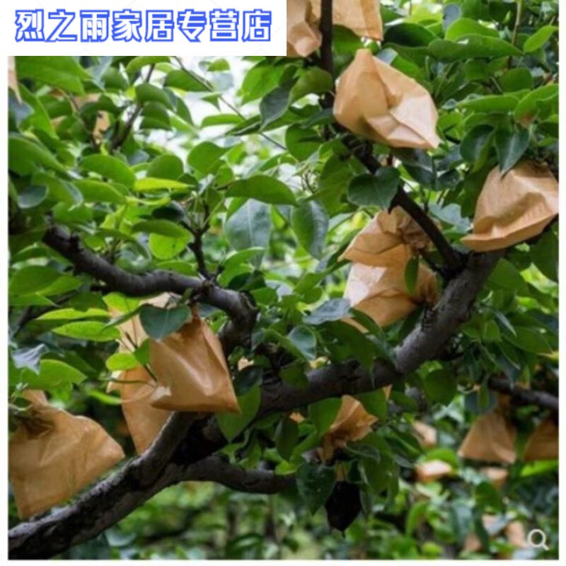 温妤(wxpyu)水果袋桃子套袋袋包梨的套生长保护袋一次性保品质护袋